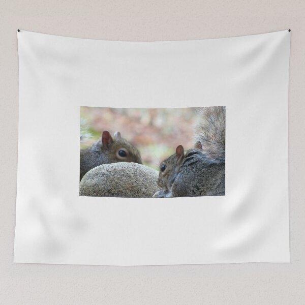 Item preview, Squirrel Hard Rock Café designed and sold by Jean Gregory Evans.