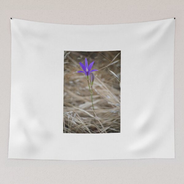 Item preview, Elegant Brodiaea designed and sold by Diego Re.
