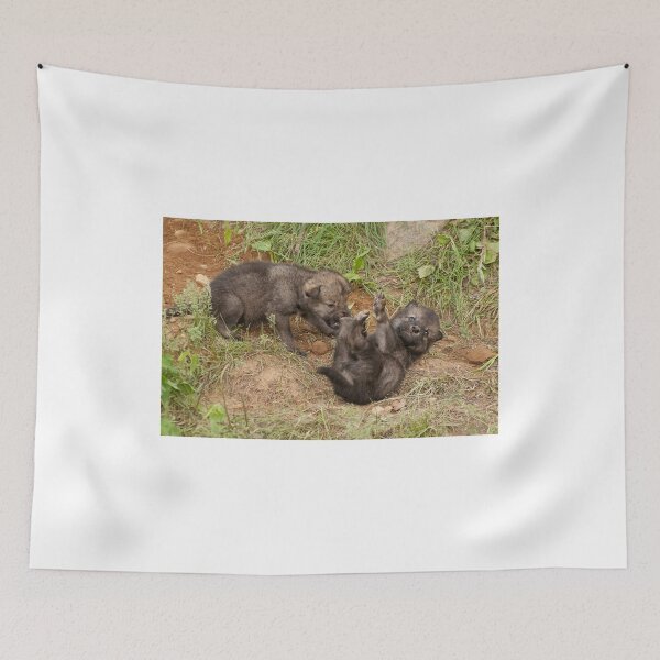 Item preview, Ooops A Daisy!!  heheee designed and sold by Tracey  Dryka.