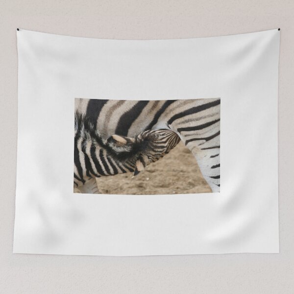 Item preview, Chapman Zebra Baby designed and sold by Jo Nijenhuis.