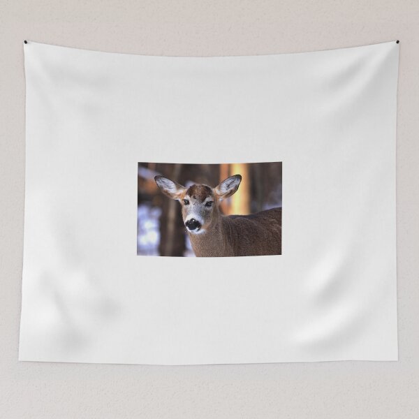 Item preview, Bright eyes - White-tailed Deer designed and sold by James Cumming.