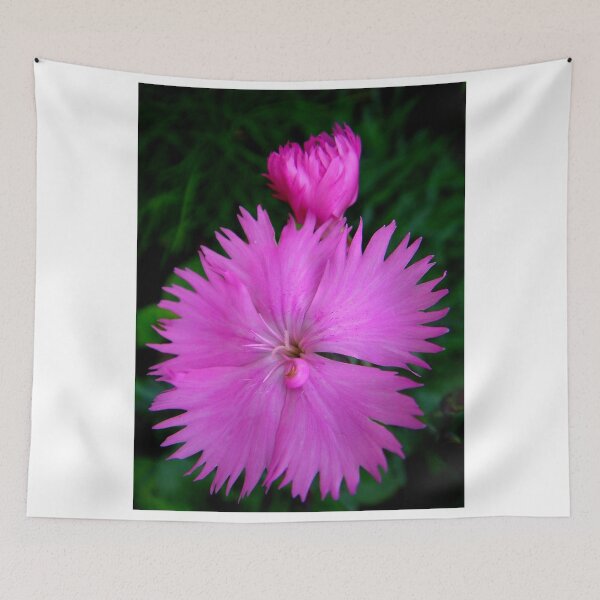 Item preview, Cottony .. designed and sold by Eugenio.