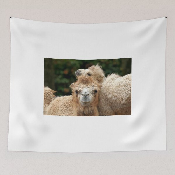 Item preview, Love you Mom - Bactrian Camel with Baby designed and sold by Jo Nijenhuis.
