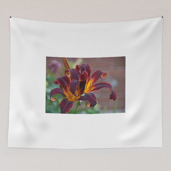 Item preview, Black Plush - my garden, Ottawa, Ontario designed and sold by Tracey  Dryka.