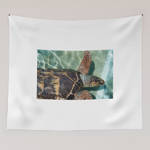 Item preview, Turtle designed and sold by Jaime Pharr.