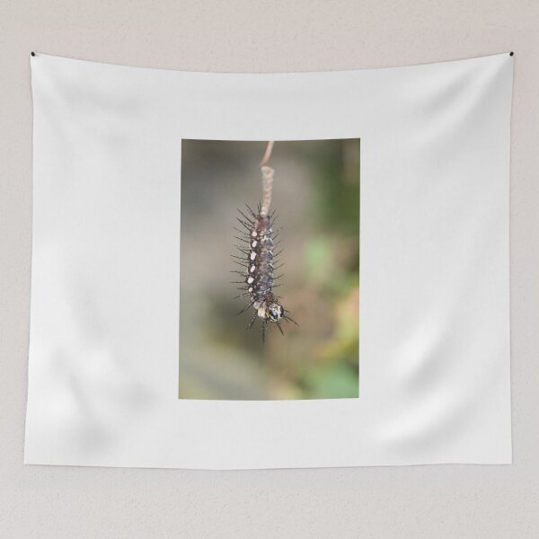 Item preview, Transformation designed and sold by Jo Nijenhuis.
