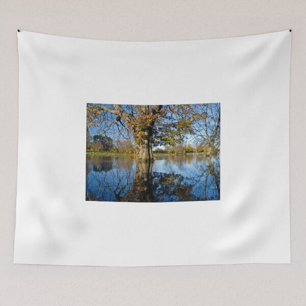 Item preview, Horse Chestnut in the flooded River Ouse, York, England designed and sold by GrahamCSmith.