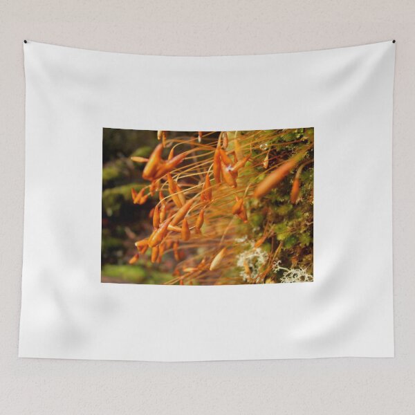 Item preview, Moss Macro, Cradle Mountain, Tasmania, Australia. designed and sold by kaysharp.