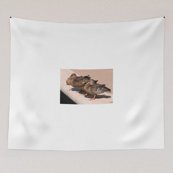 Item preview, Basking in the Sun designed and sold by Larry Trupp.