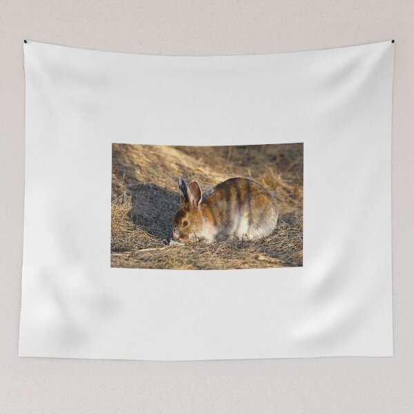 Item preview, Tiger Hare designed and sold by James Cumming.