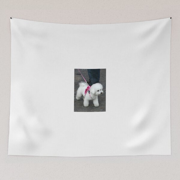 Item preview, White Fluff Dog In Pink designed and sold by coffeebean.