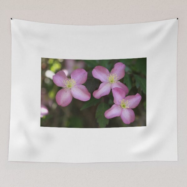 Item preview, Clematis Maidens designed and sold by coffeebean.