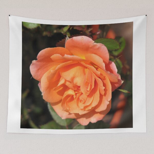 Item preview, Orange Wildfire - Miniature Rose designed and sold by MidnightMelody.