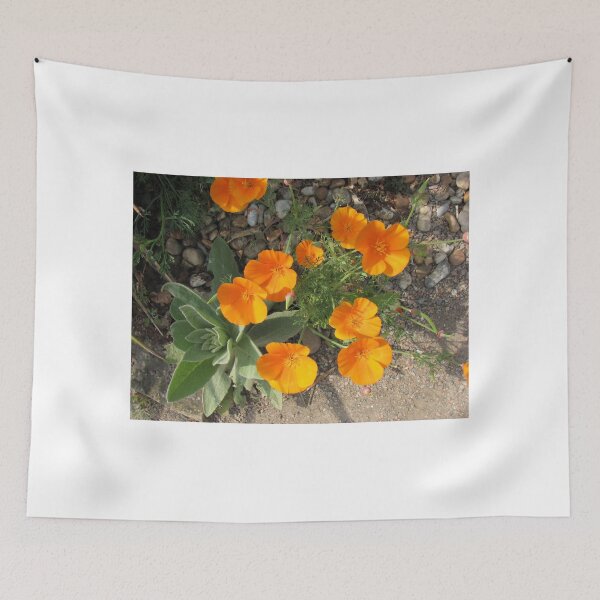 Item preview, Colour me orange! California Poppies designed and sold by BlueMoonRose.