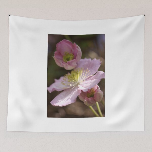 Item preview, Marianne's Joy designed and sold by coffeebean.