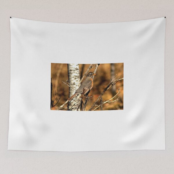 Item preview, Robin Redbreast designed and sold by Larry Trupp.