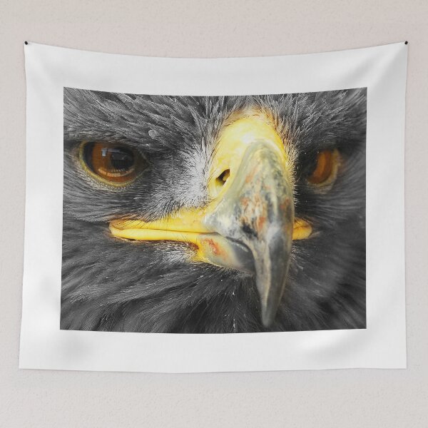 Item preview, Up close and personal designed and sold by Anthony Hedger Photography.