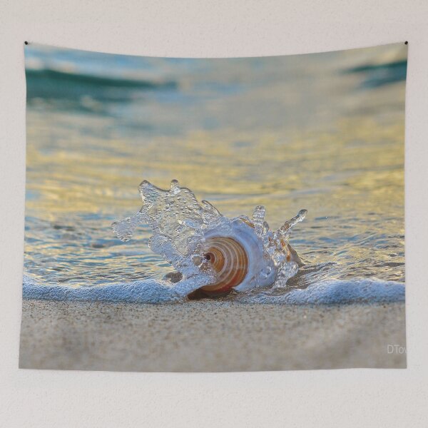 Artikelvorschau, 
Natures Paintbrush
Der süchtige Fotograf
Das Beste aus Redbubble

Es war heute ein bewölkter und windiger Tag auf den Britischen Jungferninseln und ich ging am Strand spazieren, als die Sonne gerade unterging. Ich sah diese Muschel nahe am Rand des  entworfen und verkauft von Deborah V Townsend.