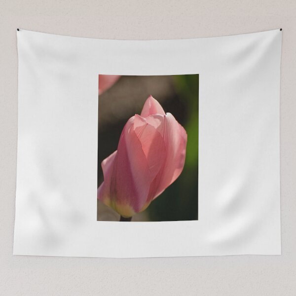Item preview, Tulip - Dow's Lake, Ottawa, ON designed and sold by Tracey  Dryka.