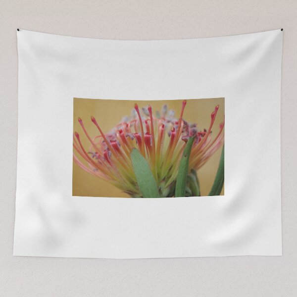 Item preview, 'Sincere' Leucospermum (2) designed and sold by davidjc.