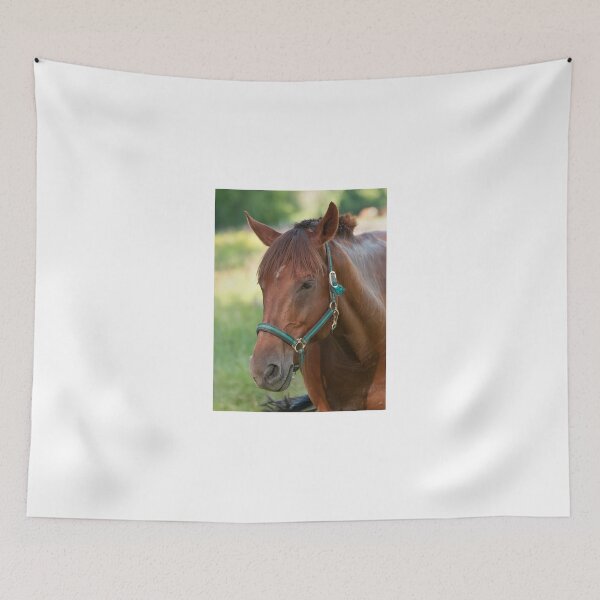 Item preview, Harry - NNEP Ottawa, ON designed and sold by Tracey  Dryka.