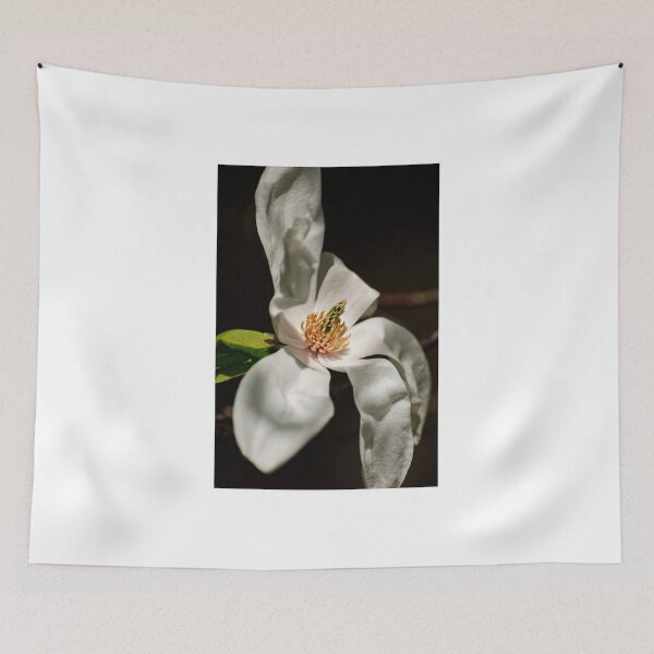 Item preview, White Magnolia 2 - Central Experimental Farm, Ottawa, ON designed and sold by Tracey  Dryka.