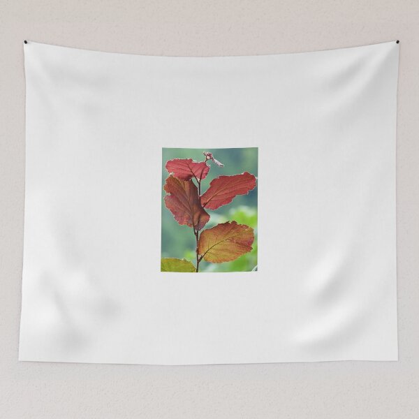 Item preview, Red leaves designed and sold by Narelle Richardson.