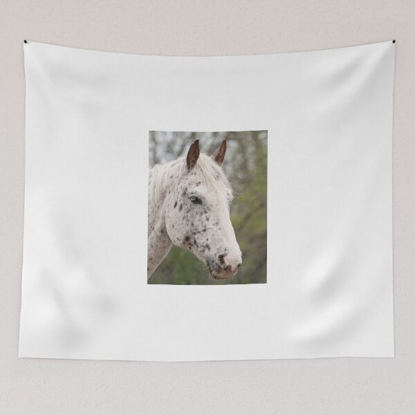 Item preview, Xerox - NNEP Ottawa, Ontario designed and sold by Tracey  Dryka.