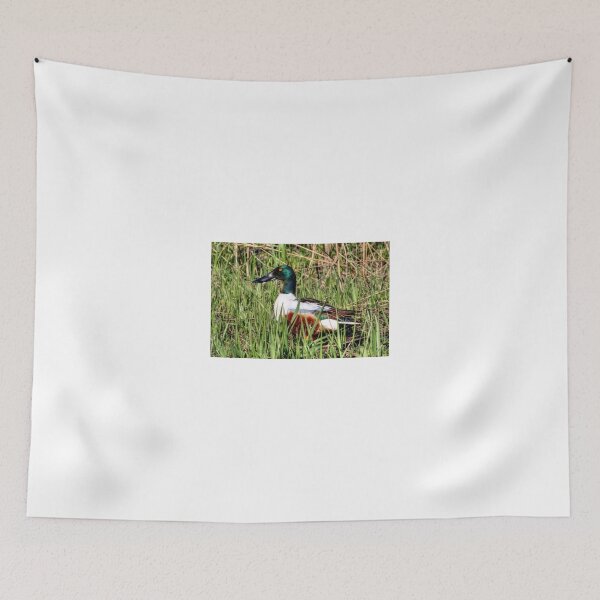 Item preview, Northern Shoveler designed and sold by Larry Trupp.