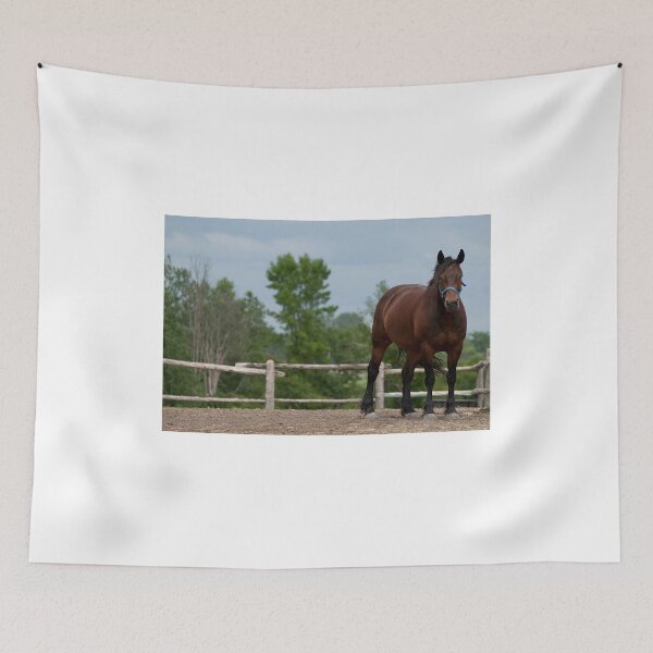 Item preview, Pam  -  NNEP Ottawa, ON designed and sold by Tracey  Dryka.
