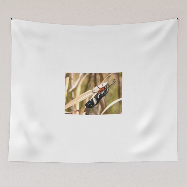 Item preview, Pretty Moth in my Garden, Tumut, Australia. designed and sold by kaysharp.