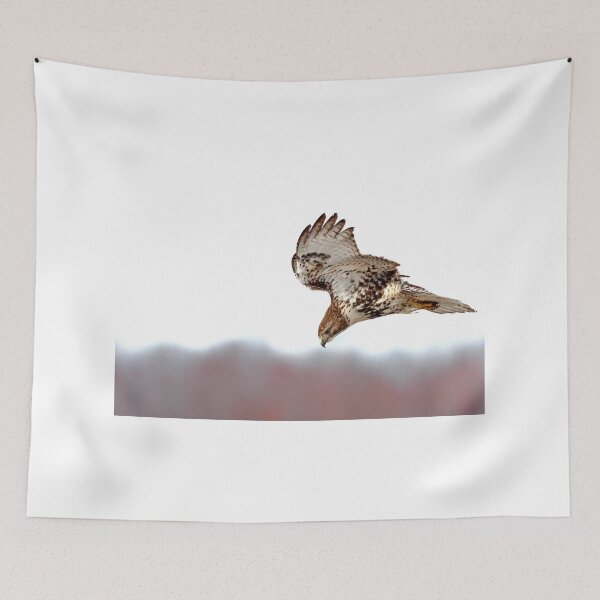Item preview, Supper Spotted - Red-tailed Hawk designed and sold by James Cumming.