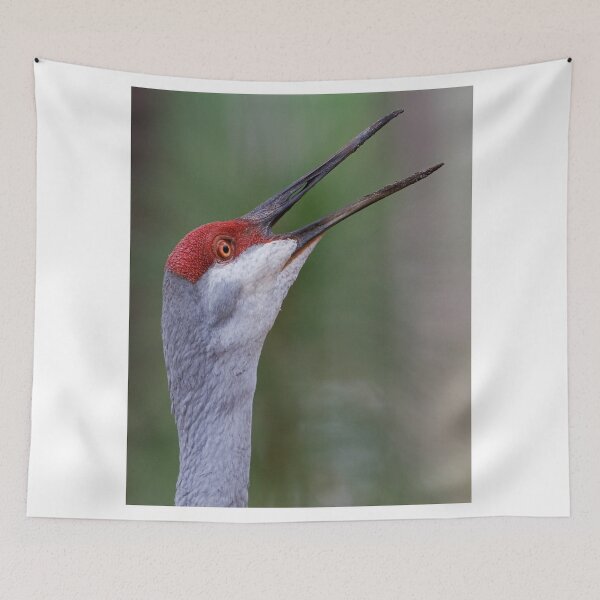 Item preview, Love that Ruckus designed and sold by WorldDesign.