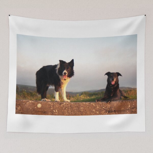 Item preview, Indy and Shela. designed and sold by Michael Haslam.