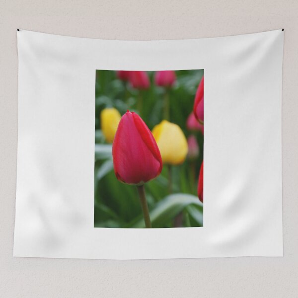 Item preview, Red Tulip designed and sold by Andy Beattie.