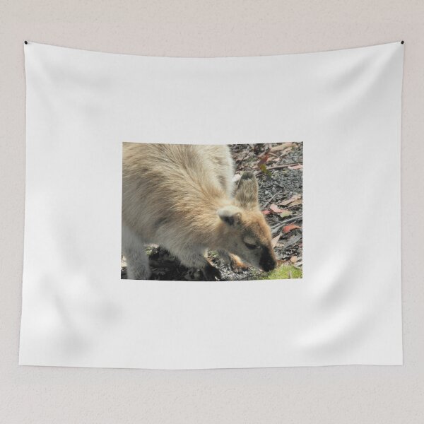 Item preview, Bennetts Wallaby, Cradle Mountain, Tasmania, Australia. designed and sold by kaysharp.