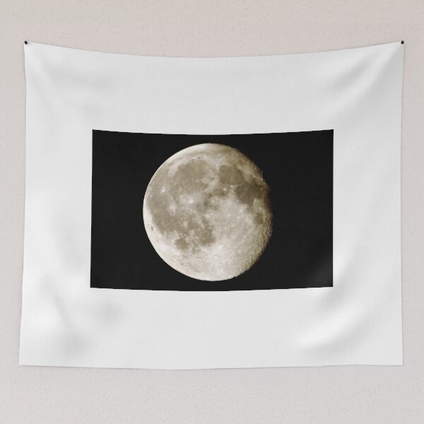Item preview, cratered moon designed and sold by Stephen Frost.