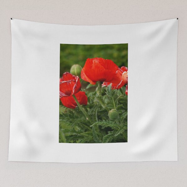 Item preview, Red Poppy designed and sold by Andy Beattie.