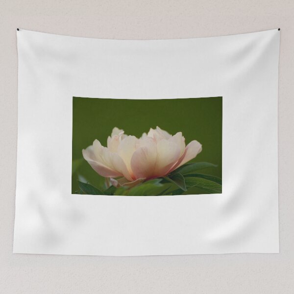Item preview, Peony - designed and sold by Tracey  Dryka.