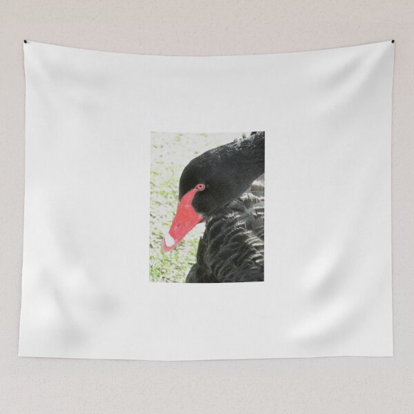Item preview, Black Swan, Lake Burley Griffin, A.C.T. Australia. designed and sold by kaysharp.