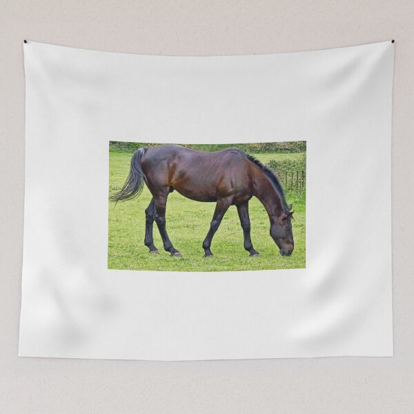 Item preview, Beautiful Horse designed and sold by lynn carter.