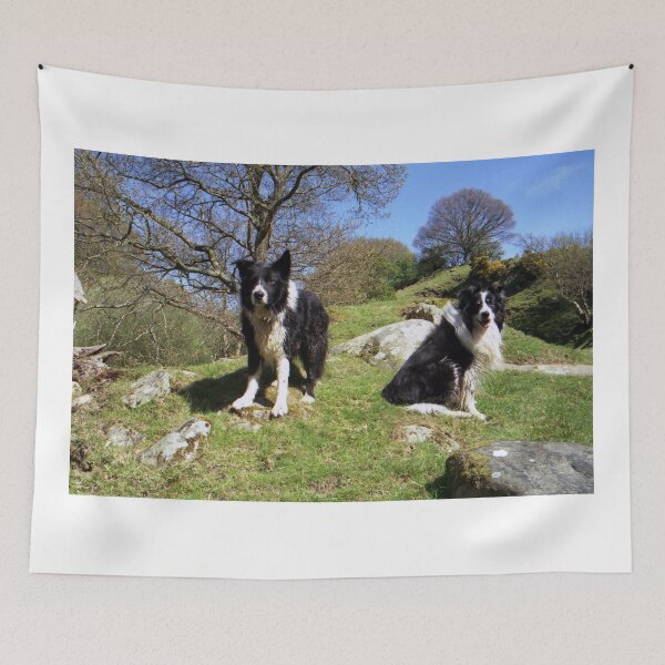 Item preview, Above with Indy and Rob designed and sold by Michael Haslam.