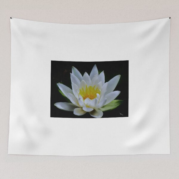 Item preview, Water Lily in White...Pond at Yachats Inn...Yachats, Oregon designed and sold by Diane Arndt.