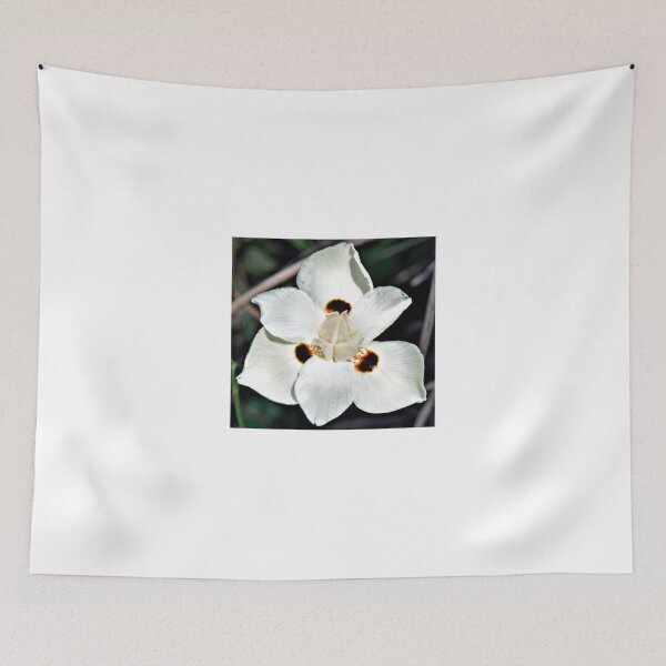 Item preview, Full Bloom designed and sold by BobJohnson.