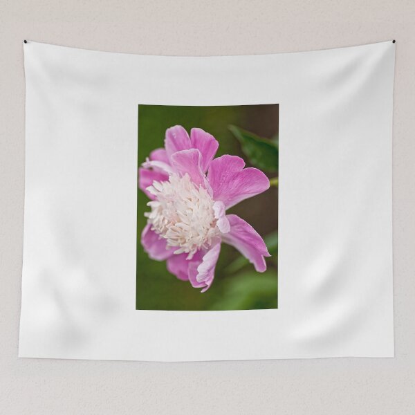 Item preview, Gay Paree - Peony designed and sold by Tracey  Dryka.