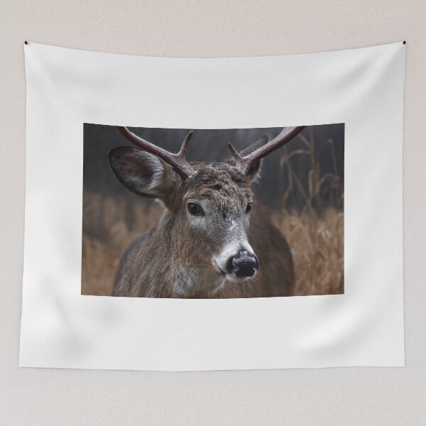 Item preview, Light from Above - White-tailed deer designed and sold by James Cumming.