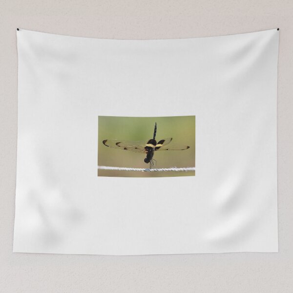 Item preview, StandingTall! designed and sold by cathywillett.