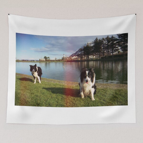Item preview, Indy and Rob reunited at Rainbow Bridge. designed and sold by Michael Haslam.