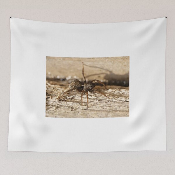 Item preview, Here's looking at you and you and you (spider) designed and sold by GrahamCSmith.