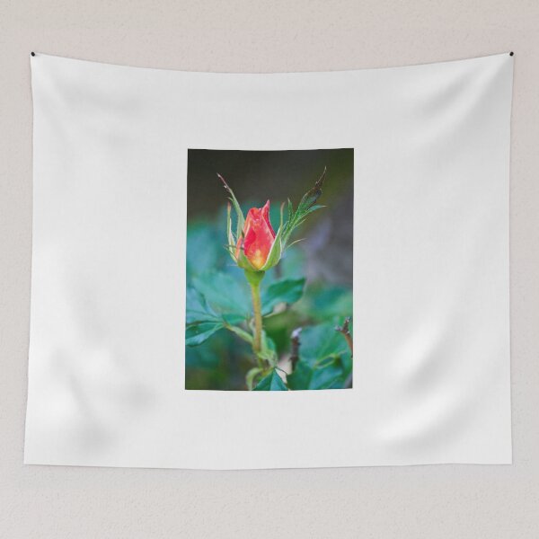 Item preview, Single Red Bud designed and sold by Diego Re.